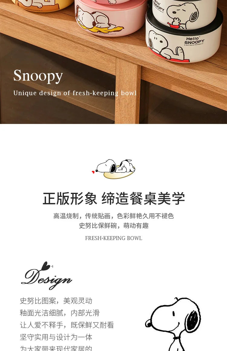 Snoopy Ceramic Bowl Set Three Piece Lid Snoopy Luch Box