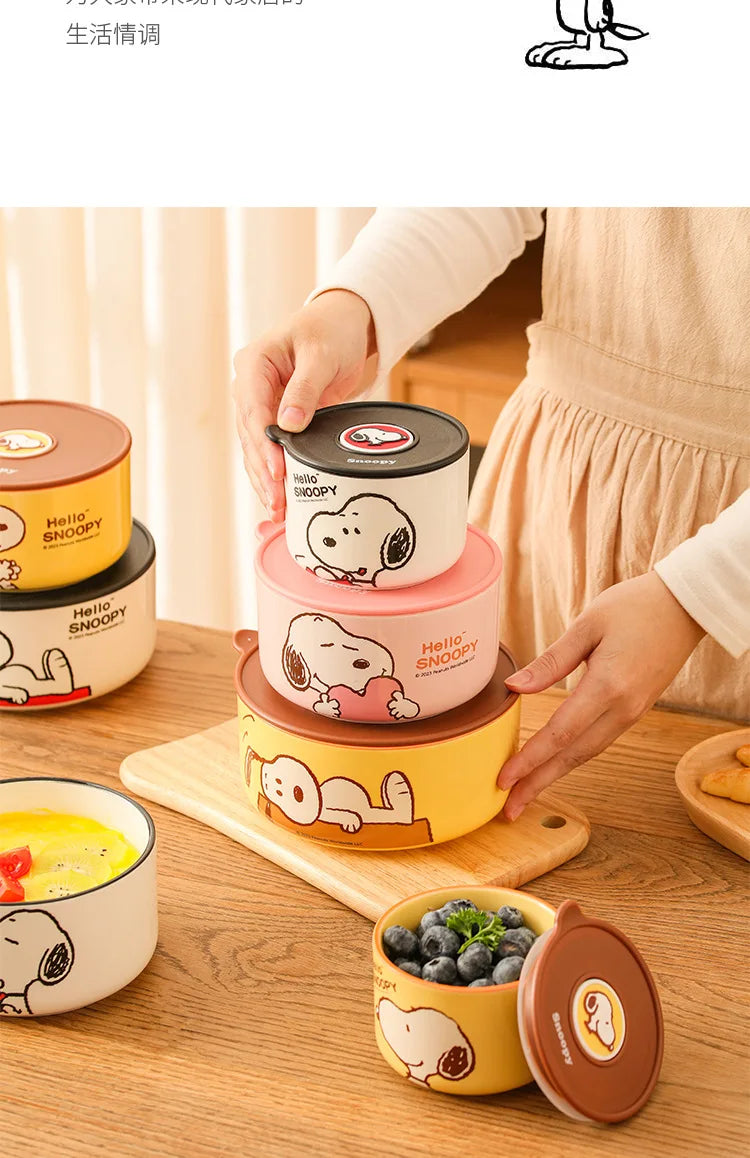 Snoopy Ceramic Bowl Set Three Piece Lid Snoopy Luch Box